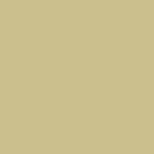 Polyester Gel-Coat - RAL 1000 green beige