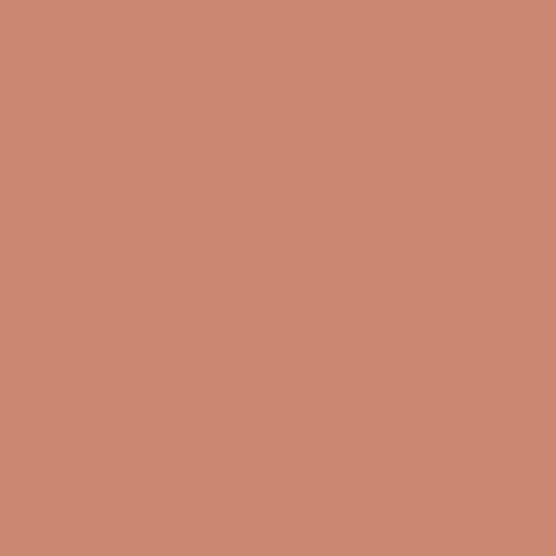 RAL 3012 (GT) Polyester Pigment - Beige Red